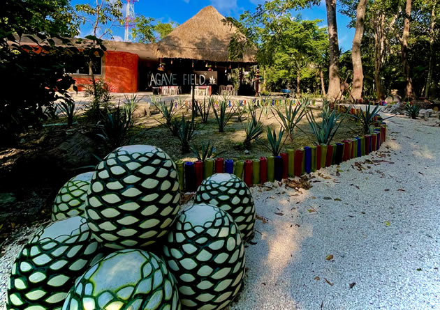 tequila tours near cancun mexico